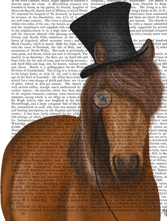Framed Horse Top Hat and Monocle Print