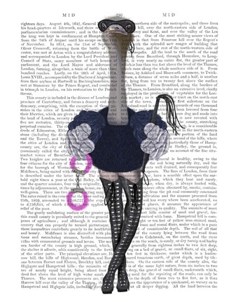 Framed Ostrich with Kinky Boots Print