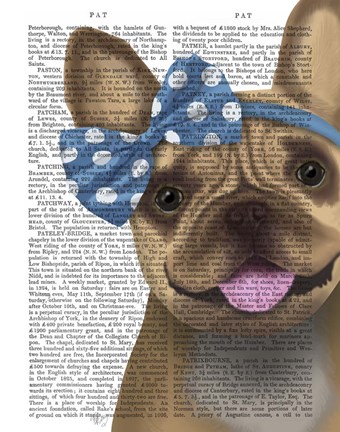 Framed French Bulldog and Blue Bow Print