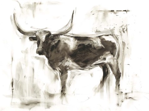 Framed Longhorn Study II Print