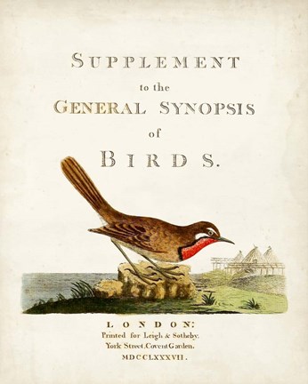 Framed General Synopsis of Birds Print