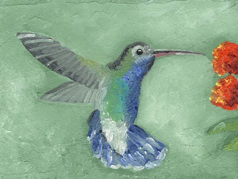 Framed Fresco Hummingbird I Print