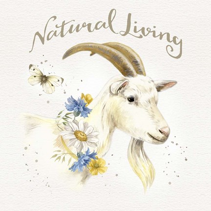 Framed Nostalgic Farm IV Print