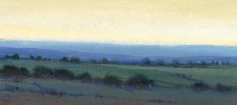 Framed Morning Dew II Print