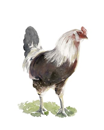 Framed Chicken Dance I Print