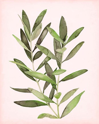 Framed Soft Pink Leaves II Print