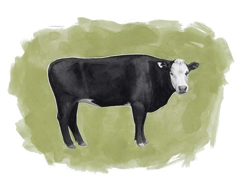 Framed Hereford Graze I Print