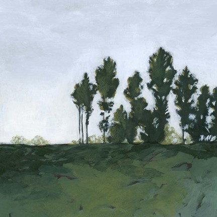 Framed Northern Coppice II Print