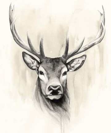 Framed Timberland Animals I Print