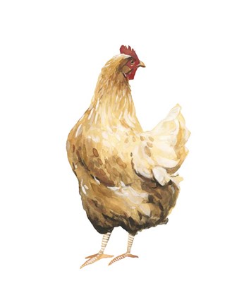 Framed Autumn Chicken III Print