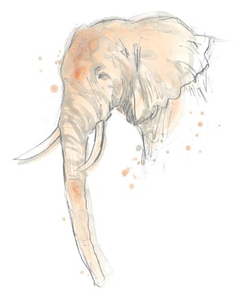 Framed Blush Savannah I Print