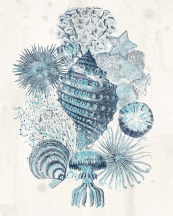 Framed Coastal Melange II Print