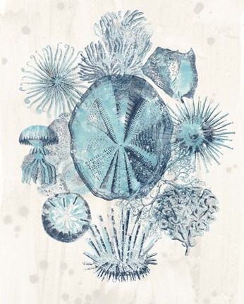 Framed Coastal Melange IV Print