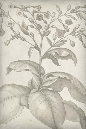 Framed Classic Romance I Print