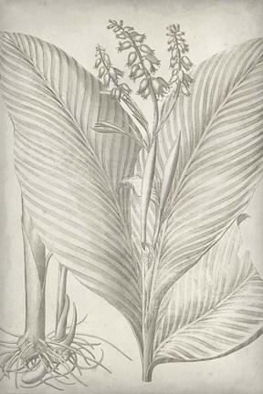 Framed Classic Romance II Print