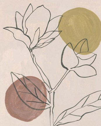 Framed Blush II Print