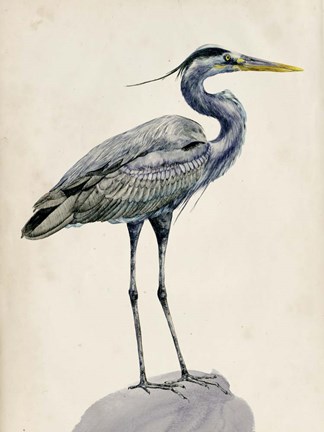 Framed Blue Heron Rendering I Print