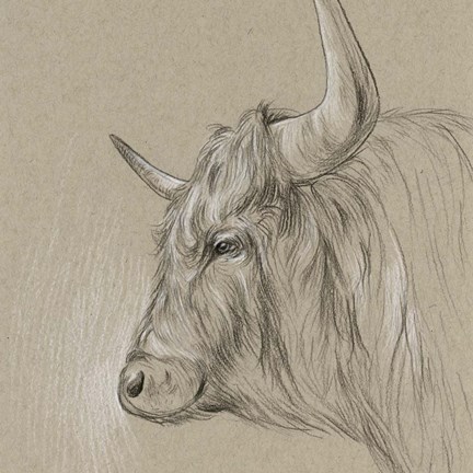 Framed Bison Sketch II Print