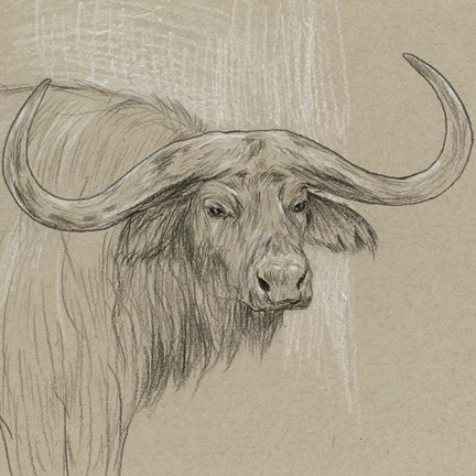 Framed Longhorn Sketch II Print