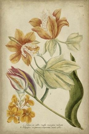 Framed Tropical Floral II Print