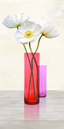 Framed Poppies in crystal vases (Purple II) Print