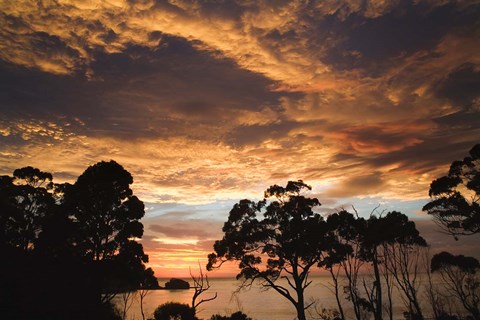 Framed Australia, Tasmania, Freycinet, Sunrise Print