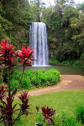 Framed Millaa Millaa Falls, Queensland, Australia Print