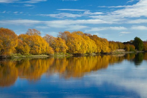 Framed Autumn Colour And Clutha River At Kaitangata, South Island, New Zealand Print