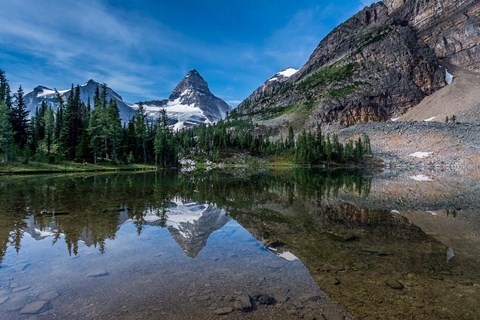 Framed Mount Assiniboine Reflected In Sunburst Lake Print