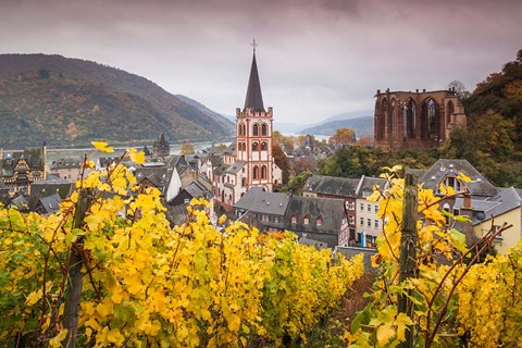 Framed Germany, Rhineland-Pfalz, Bacharach, Elevated Town View In Autumn Print