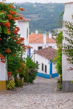 Framed Portugal, Obidos Leira District Cobblestone Walkway Print