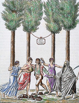 Framed Allegory Of The French Revolution French Print