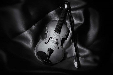 Framed Still-Life Black And White Image Of A Violin Print