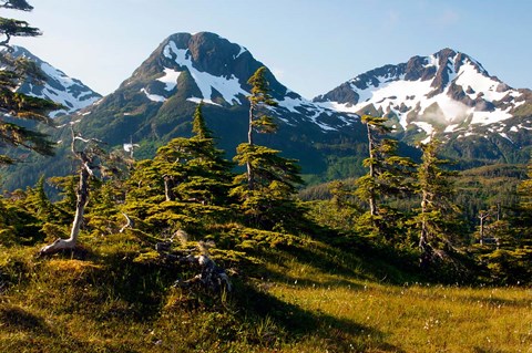 Framed Mount Eccles Near Cordova, Alaska Print