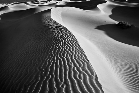 Framed Valley Dunes Landscape, California (BW) Print