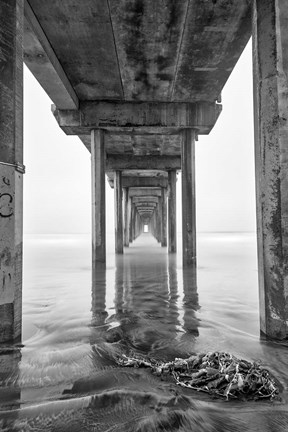 Framed Scripps Pier, California (BW) Print