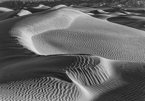 Framed Valley Dunes Desert, California (BW) Print