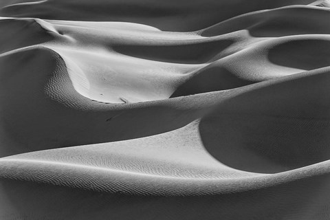 Framed Desert Dunes, California (BW) Print
