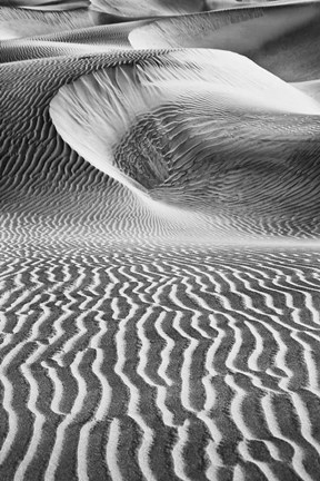 Framed California&#39;s Valley Dunes (BW) Print