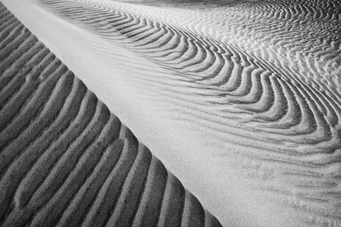 Framed Close Up Of Valley Dunes, California (BW) Print