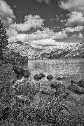 Framed California, Lake Tenaya (BW) Print