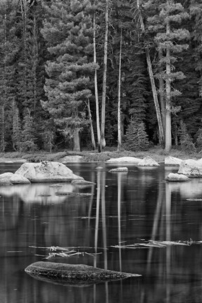 Framed California, Sierra Lake (BW) Print