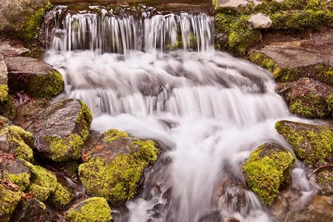 Framed California, Yosemite, Small Falls Print