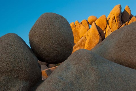 Framed California Joshua Tree National Park Jumbo Rocks At Sunset Print