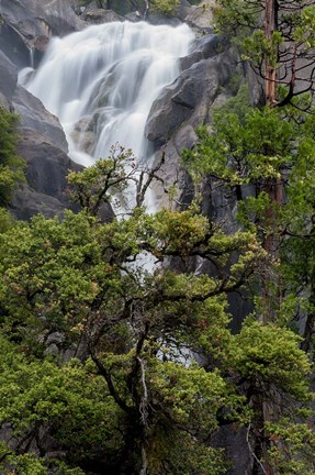 Framed Spring Run-Off At Cascade Falls Print