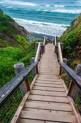 Framed Boardwalk Trail To Sand Dollar Beach Print