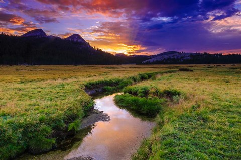 Framed Sunset Over Tuolumne Meadows Along Budd Creek Print