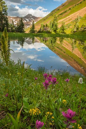 Framed Paradise Divide Pond Reflection Print