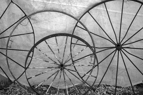 Framed Old Metal Wagon Wheels (BW) Print