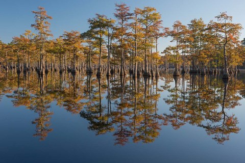 Framed Pond Cyprus In Early Morning Light, Georgia Print